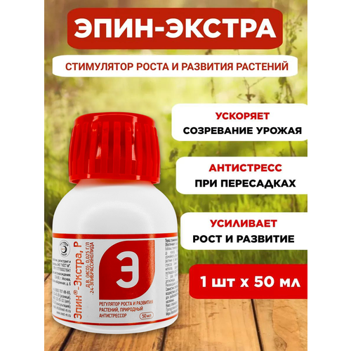 ���������� ���� ������ ��������� ����� �������� ���������� 50 ��