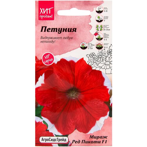 ���������� ������ ������� ����� ��� ������ F1 10 ��, ������� ��������������, ������ ���������� ������ ��� ������� � ����, ���������� ��������� ����� ��� �������