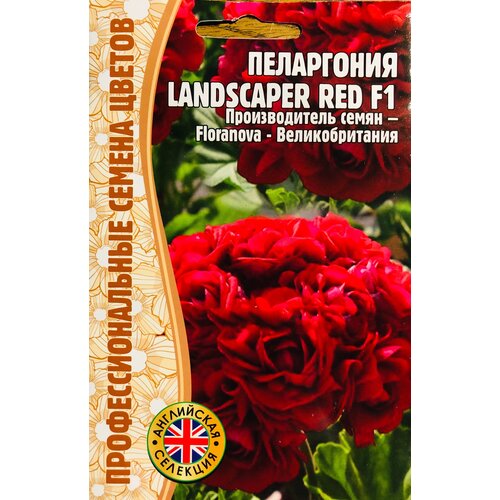 ���������� ������ ���������� 