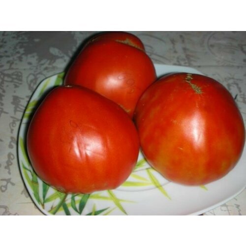 ���������� ������������� ������ ������ ���� ����������� �������