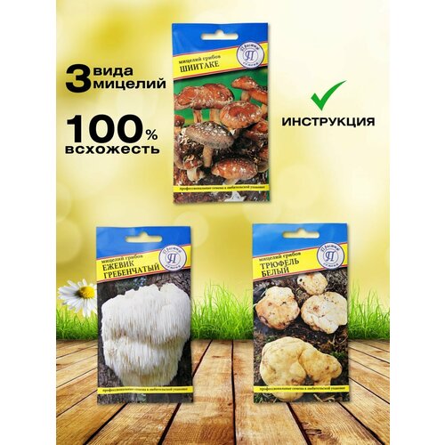 ���������� ����� ��� ����������� ������ 