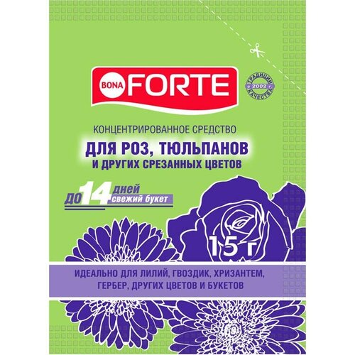 Bona Forte 15  5 /         , -, 