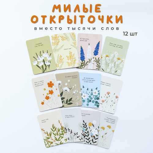 ���������� ����� ���� �������� � ������� � ������� 12 ��