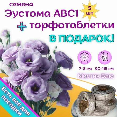 ���������� ������ ������� ������������ ����������� ������ ���, ��������� ��������� + �������� �������� Jiffy � �������, 5��