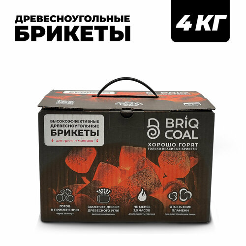 ���������� BriqBOX 4 �� - ����������������� ���������������� ������� BRIQCOAL