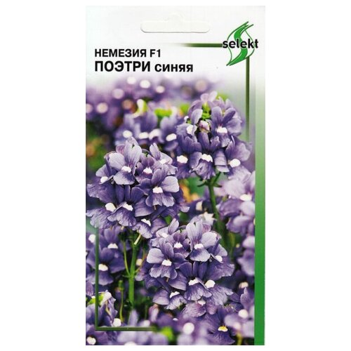 ���������� ������� F1 ������, �����, 7 �����