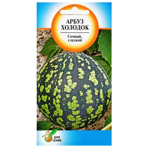 ���������� ����� �������, 10 �����