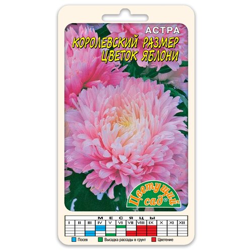 ���������� ������ �������� ��� 