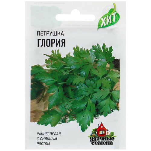 ���������� ������ �������� �������� 