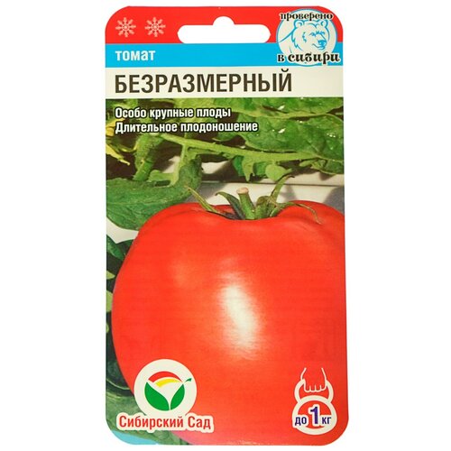 ���������� ������������ 20�� ����� (��� ���)