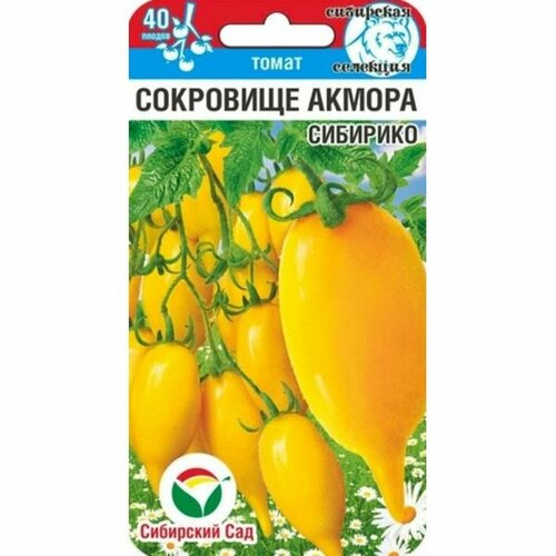 ���������� ������ ����� ��������� ������ �������� (������������) ��. (��������� ���) 20��