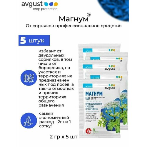 ���������� �������� �� �������� AVGUST ������, �������, ��� 10 �, 5 ����