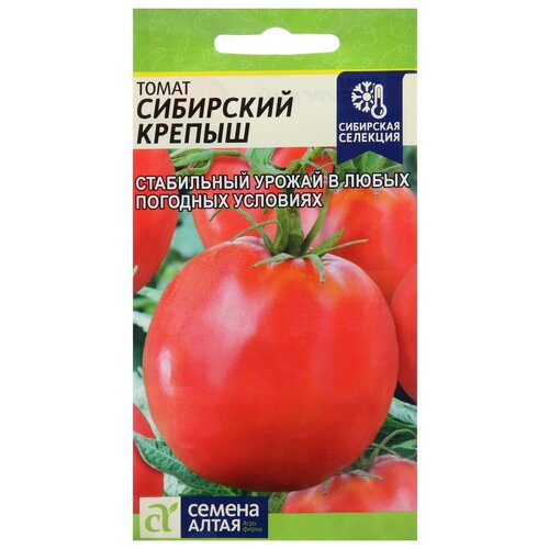 ���������� ������ ����� 