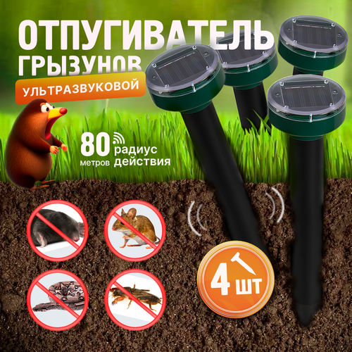 ���������� ������������ ������, �����, ����, ����, �������� ��������������, 4��.