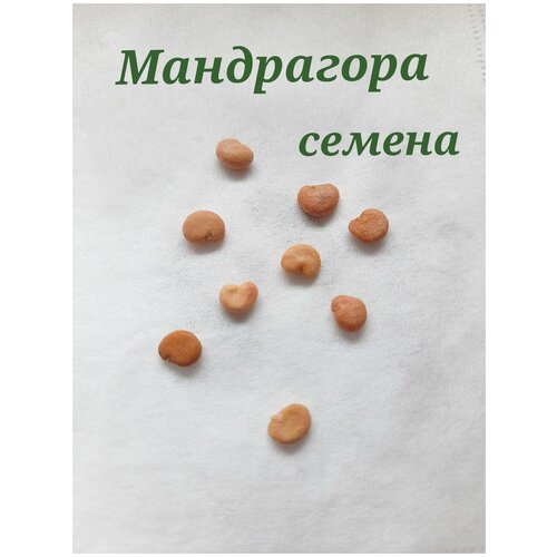 ���������� ����������/ �������� ������������� ������ 3��.