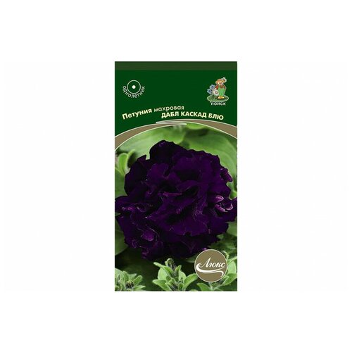 ���������� ������ ����� ���� ������� �������� ���� ������ ��� 10 ��.