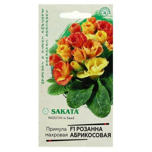 ���������� ������ ������ ������� 