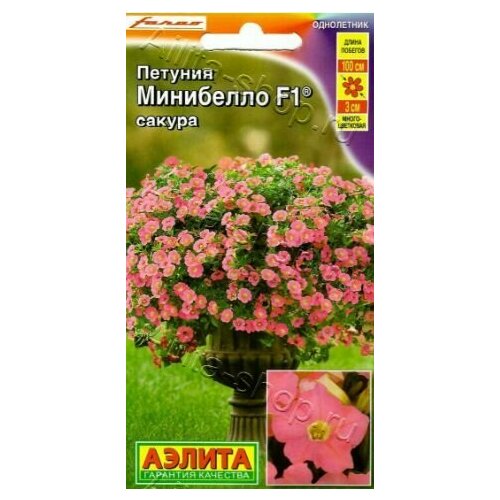 ���������� ������� �������������� ���� ��������� ������ F1 ( 1 �������� ) , ������