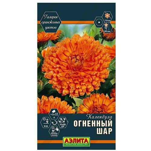 ���������� ��������� �������� ��� ������