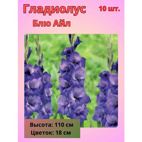 ���������� ��������� ��������������� ��� ���, �������� ����������