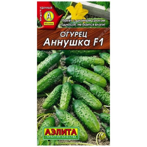 ���������� ������. ������ 