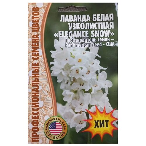 ���������� ������ ������� ����� ����������� 