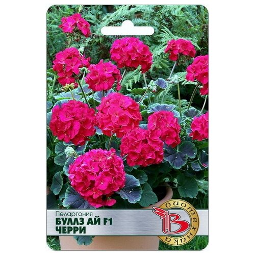 ���������� ���������� ����� �� F1 �����