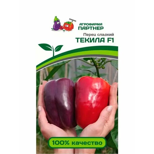 ���������� ������ ����� �������� 