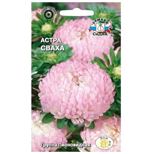 ���������� ������ ����� �����