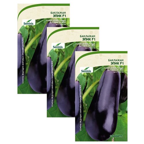 ���������� ������ �������� ���� F1 10�� �������� (3 ������)