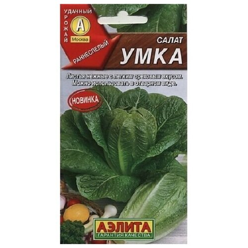 ���������� ������ ����� ����