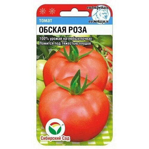 ���������� ������ ����� ������ ���� 20�� ��� (��������� ���)