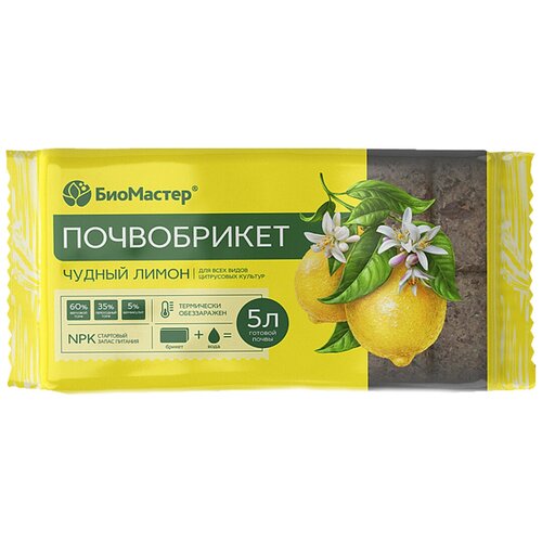 ���������� ����������� 