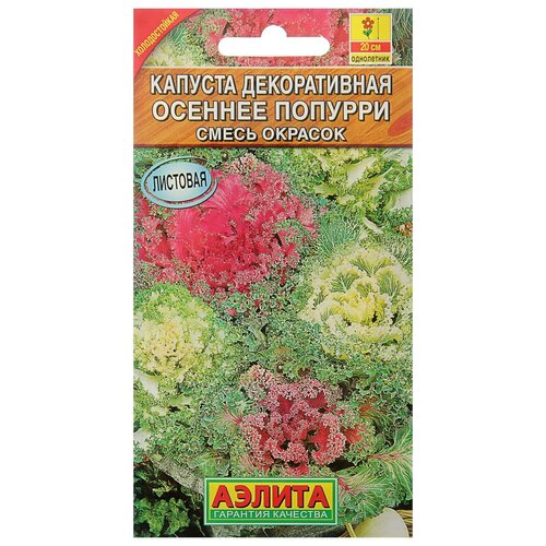 ���������� ������ ������ ������� ������������ 