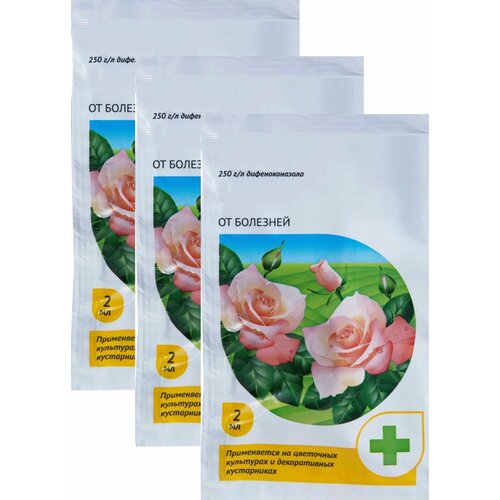 ���������� �������� �� �������� ��� � ������ ��������� �������, 3 ������ �� 2 ��. ����������� �������� ��� ������ � ������������� ��������� ����, ����� ����� � ������ �����������