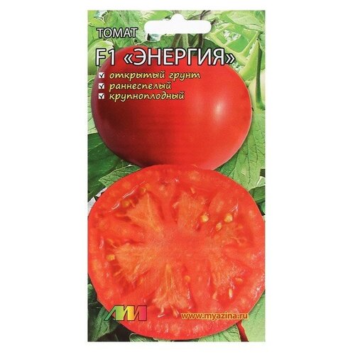 ���������� ������� ����� 