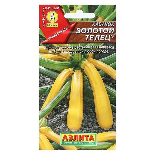 ���������� ������ ������� ������� ������� �����, 2 �