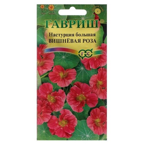 ���������� ������ ��������� ������ �������� ���� 1 �