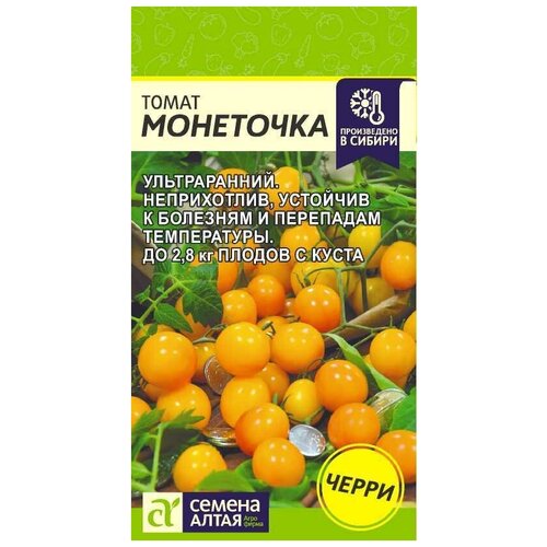 ���������� ����� ��������� (0.1� )������������ �������������� �����-�����