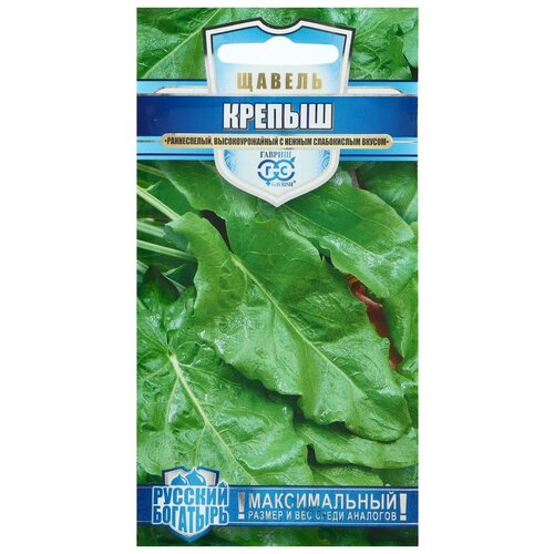 ���������� ������ ������ 