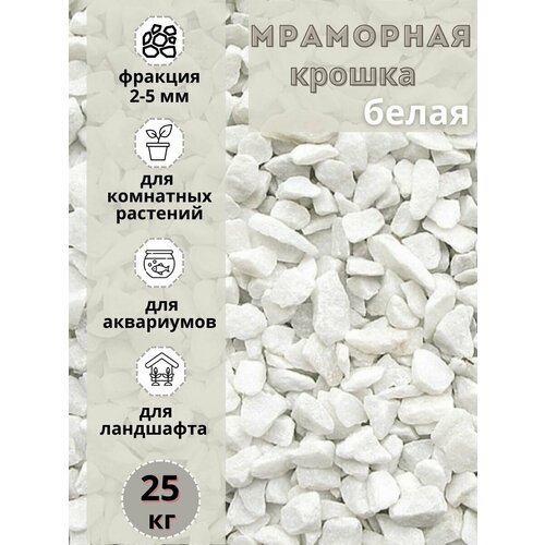 ���������� ��������� ������ ����� ������� 2-5�� (25�� ) ����� ����������� ��� ��������� � ������� ��������