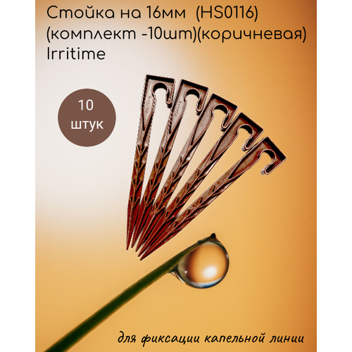   16 (HS0116)( -10)() Irritime   , -, 