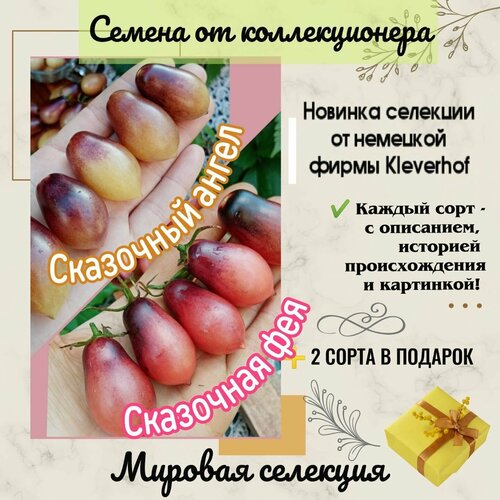 ���������� ������ 