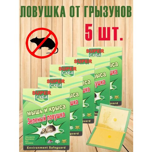 ���������� ������� ��������� ������� �� ���� � �����