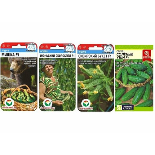 ���������� ����� ����� ������� ��������� ����� ( ������� ���, �������� ��������� F1, ��������� ����� F1, ����� F1 )- 4 ��