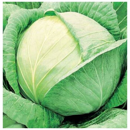 ���������� ������. ������� ������������ 