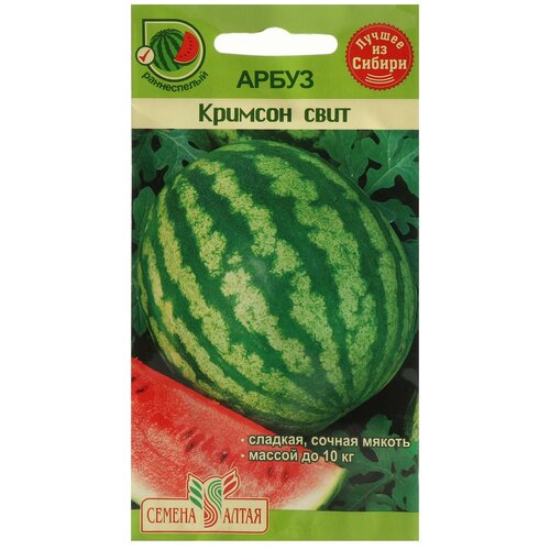 ���������� ������ ����� 