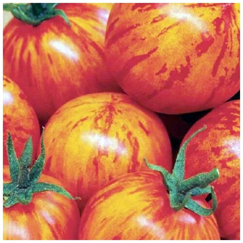 ���������� ������ ������ ����� ������� 10 ��.