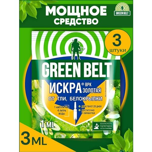     ,  Green Belt ( ) 3   1 