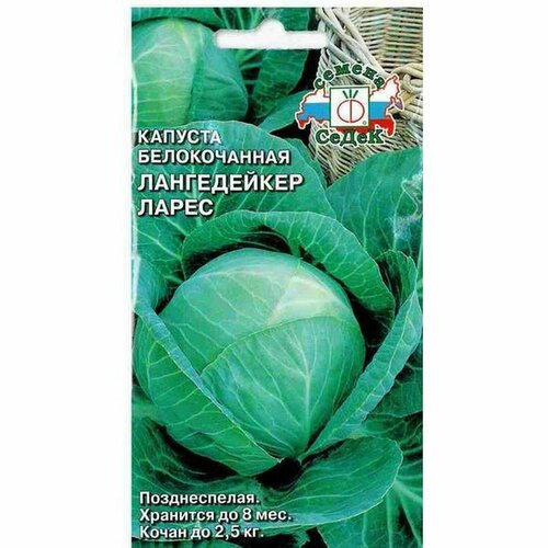 ���������� ������ ������� ������������ ����������� ����� �. (�����) 0,5�